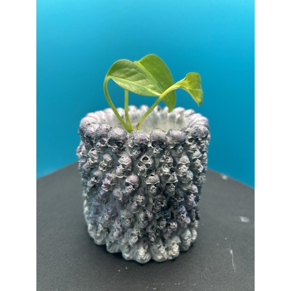 Skull Concrete Planter Black – Handmade Cement Succulent Plant  Pot, Handmade - Picture 2 of 10